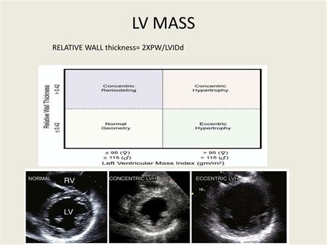 lv wall thickness echo